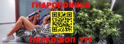 шишки Пушкино